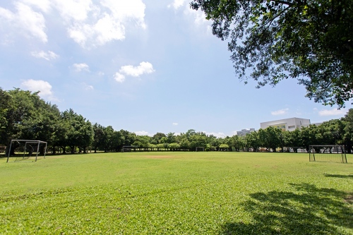 2萬7,000坪港坪運動公園,腹地廣大。